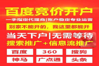 谷歌SEM成功案例：助力企业业绩增长